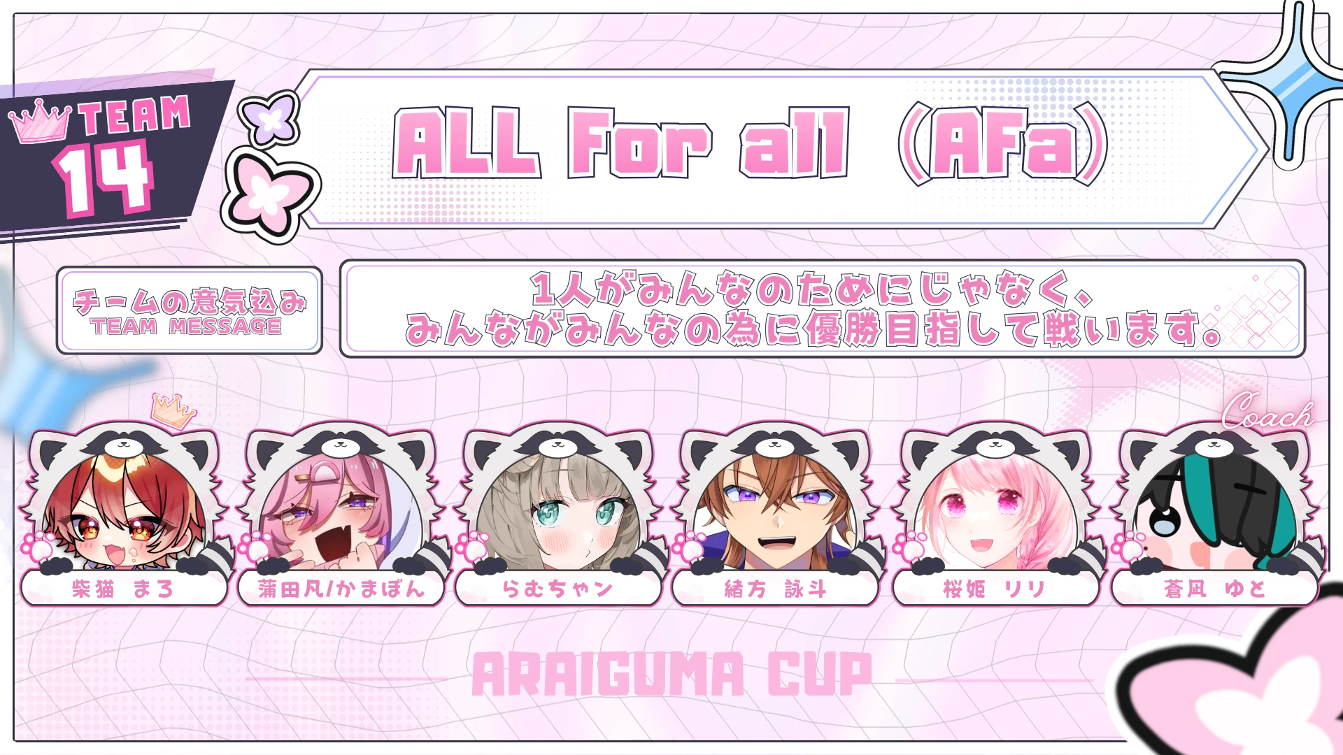 TEAM 14 ALL For all（AFa）のチーム紹介