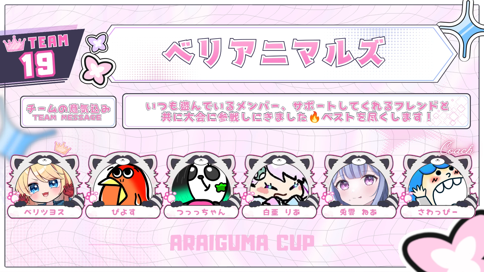TEAM 19 ベリアニマルズのチーム紹介